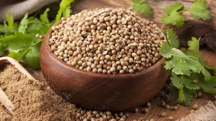 Coriander Water Benefits: सुबह खाली पेट धनिया का पानी पीने से वजन होगा कम