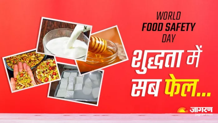 दूध-पनीर नमकीन और तेल, शुद्धता में सब फेल; जानें मिलावट पहचानने का तरीका