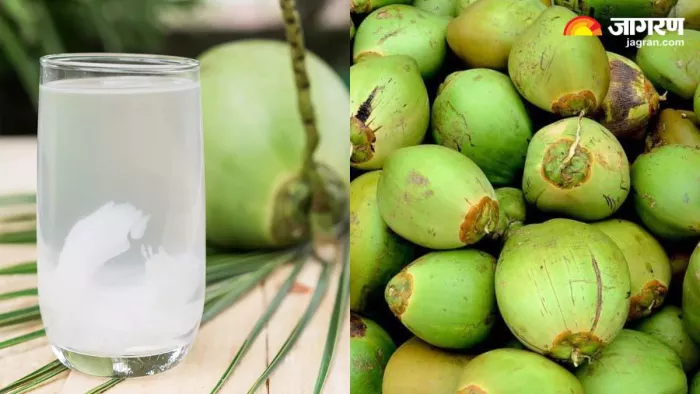 पानी से भरा नारियल खरीदने के लिए फॉलो करें ये स्पेशल ट्रिक्स (Image Source: Freepik)
