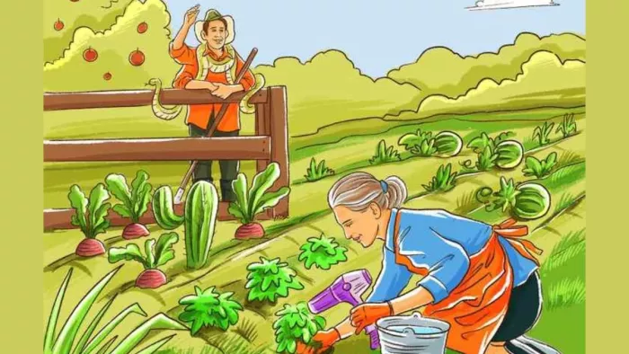 Optical Illusion: खेत की इस तस्वीर में छिपी हैं '5 गलती' (Image: Brightside.com)