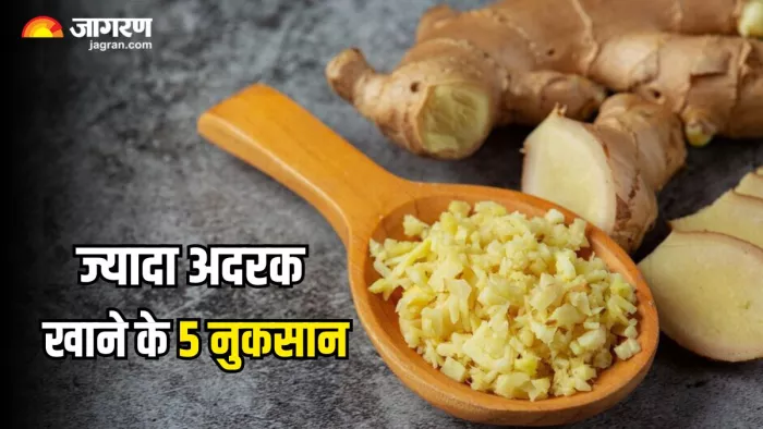 गर्मियों में ज्यादा अदरक खाने से हो सकते हैं ये 5 नुकसान! (Image Source: Freepik)