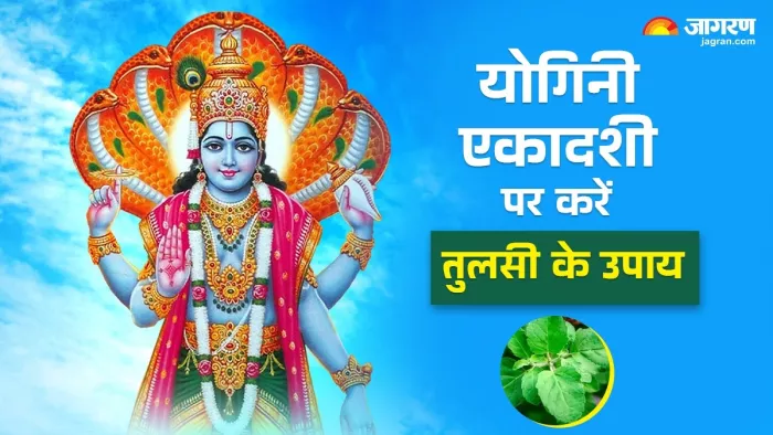 Yogini Ekadashi 2025: तुलसी से जुड़े खास उपाय।
