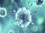 LIVE Jalandhar Coronavirus News Update: वकील दंपती के बाद दो बेटियां व नौकर सहित 17 लोग हुए संक्रमित
