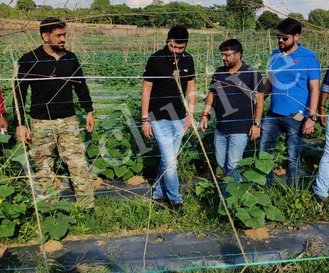 MS Dhoni Birthday MS Dhoni doing organic farming in 43 acres see picture of farmhouse jagran special
