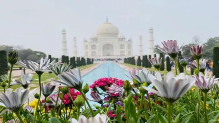 Tajmahal: ताजमहल में दस जुलाई को फ्री एंटी, बंद रहेंगी टिकट खिड़कियां।