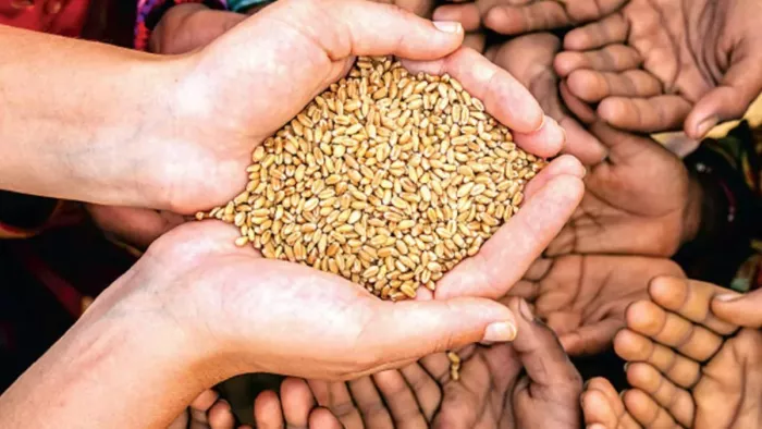 रेट बढ़ने के डर से गेहूं की कालाबाजारी पर रोक, लिमिट कर दी गई तय