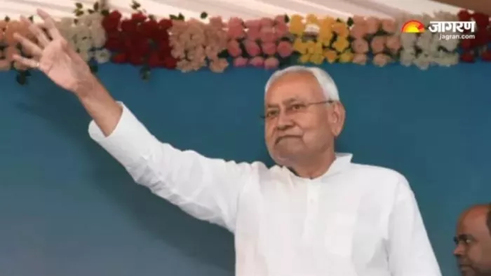 बिहार के सीएम नीतीश कुमार। फोटो- जागरण