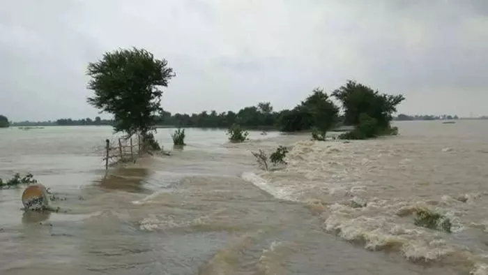बिहार में मानसून के कारण उफान पर नदियां। (सांकेतिक फोटो)