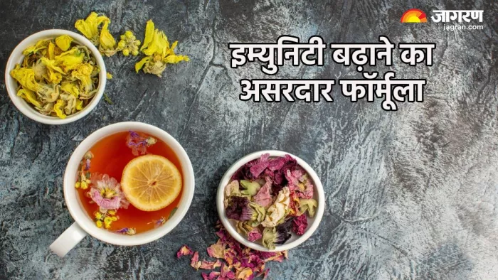 रोग प्रतिरोधक क्षमता बढ़ाने वाली जड़ी-बूटियां (Pic credit- freepik)