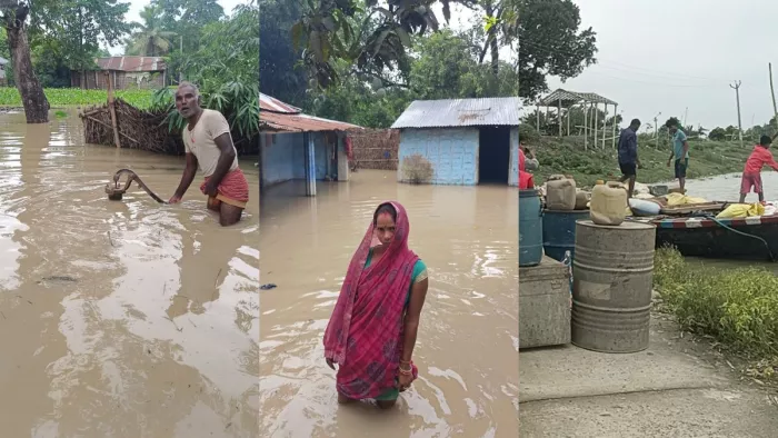कोसी का जलस्तर बढ़ने से गांवों में घुसा पानी।