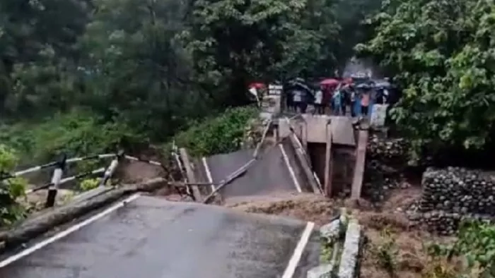 Monsoon in Uttarakhand: पनियाली नाला पर बना पुल भारी वर्षा के कारण ध्वस्त हो गया