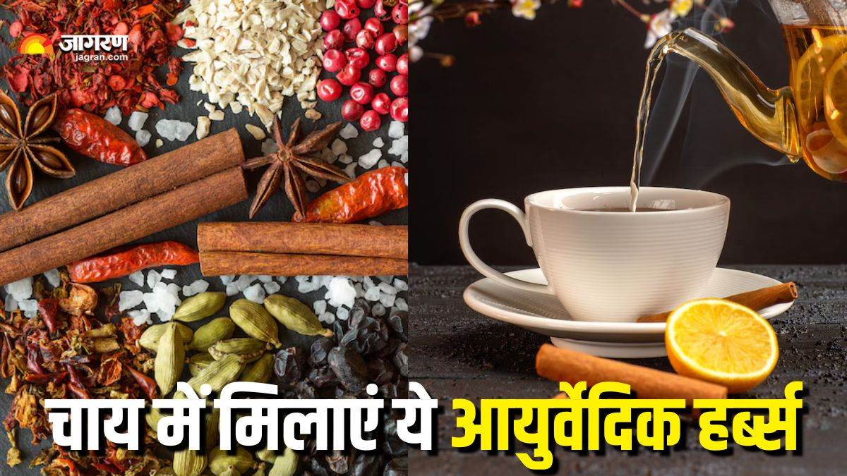 https://www.jagranimages.com/images/newimg/07072025/07_07_2025-ayurvedic_herbs_for_immunity_23977363.jpg