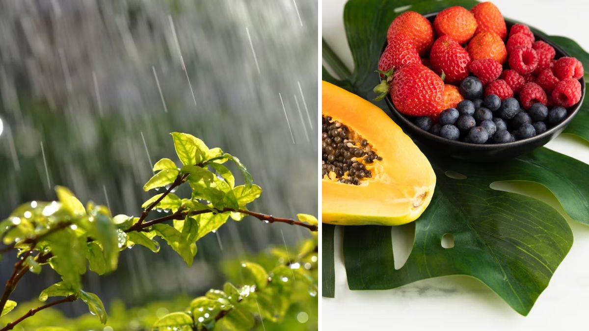 monsoon diet avoid these fruits during rainy season