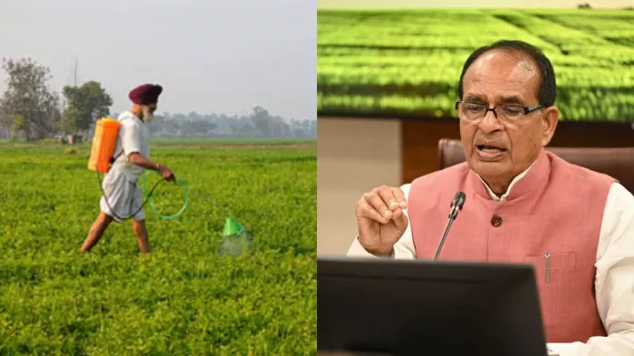 देश जल्द खुलेगा 'फसल औषधि केंद्र'। (फाइल फोटो)