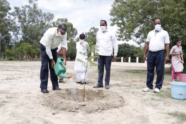 जीवन के सच्चे साथी हैं वृक्ष : योगिद्र नेहरा