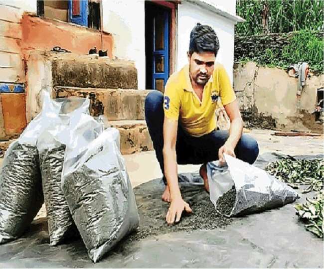 Rising India: बुजुर्गो ने बताए देसी नुस्खे, ‘घास’ से ‘चाय’ बना कमा रहे हजार रुपये प्रति किलो