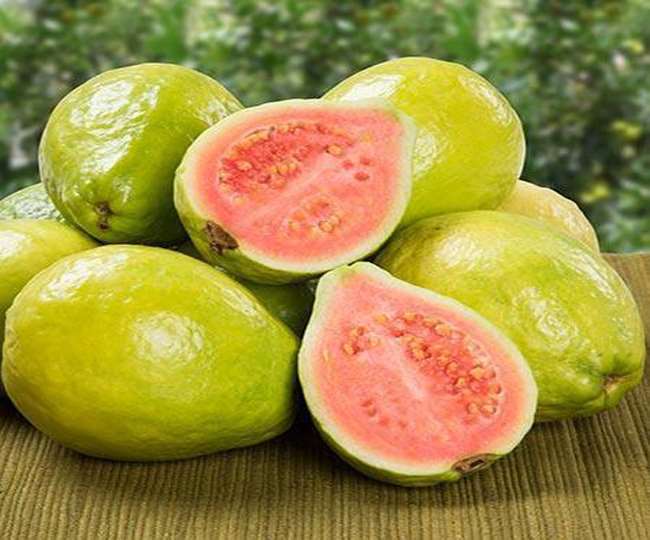 https://www.jagranimages.com/images/newimg/07082021/07_08_2021-guava_21902865.jpg