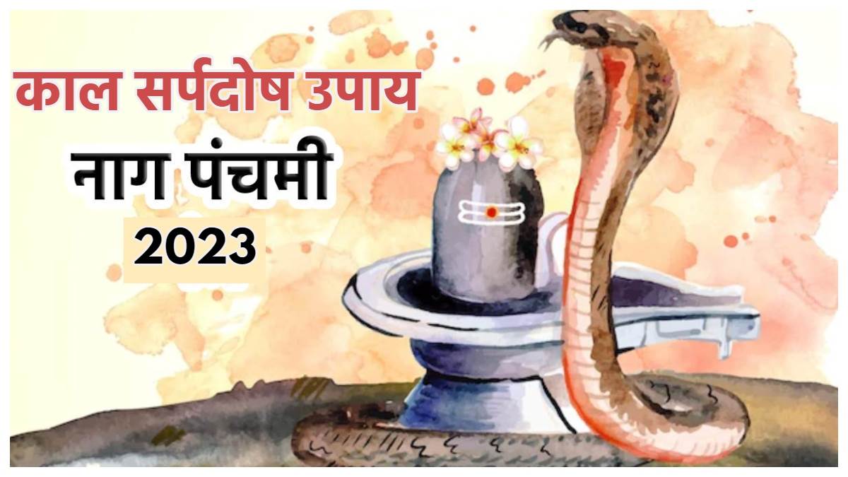 Nag Panchami 2023 नाग पंचमी के दिन करें ये खास उपाय कालसर्प दोष से मिलेगी  मुक्ति - Nag Panchami 2023 date nag panchami ke upay kaal sarp dosh ke upay