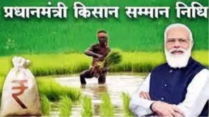 एक फैमली में कितने मेंबर ले सकते हैं स्कीम का लाभ