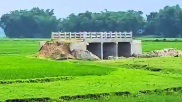 बिहार के अररिया में बिना एप्रोच के बना पुल (जागरण)