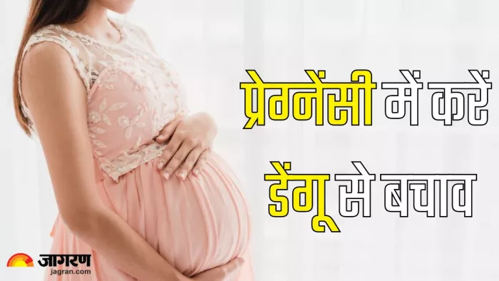 प्रेग्नेंसी में ऐसे करें डेंगू से बचाव (Picture Credit- Freepik)