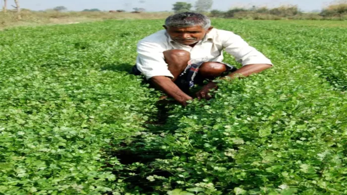 सरकार दे रही है किसानों को सहायता, 7 प्रतिशत की रियायती ब्याज दर पर ऋण