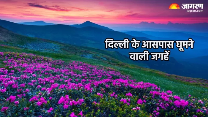 दिल्ली के आसपास घूमने वाली जगहें (Pic credit- freepik)