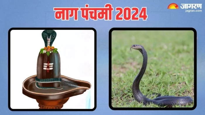 Nag Panchami 2024: इस तरह करें नाग देवता को प्रसन्न