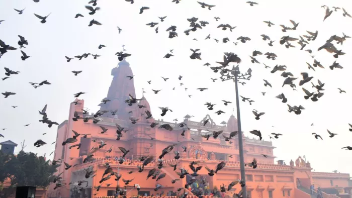 Mathura News: श्रीकृष्ण जन्मभूमि और ईदगाह प्रकरण की सुनवाई हाईकोर्ट में चल रही है। जन्मभूमि की फाइल फोटो।