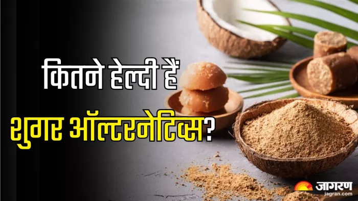 कितने हेल्दी है शुगर ऑल्टरनेटिव्स (Picture Credit- Freepik)