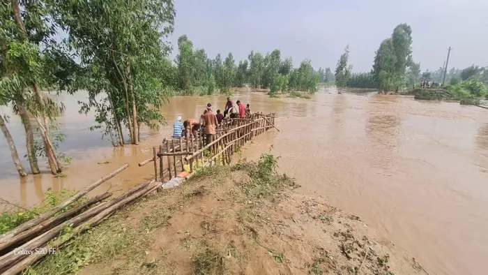बिजनौर के गांव हमीदपुर के सामने तटबंध की मरम्मत करते श्रमिक। जागरण