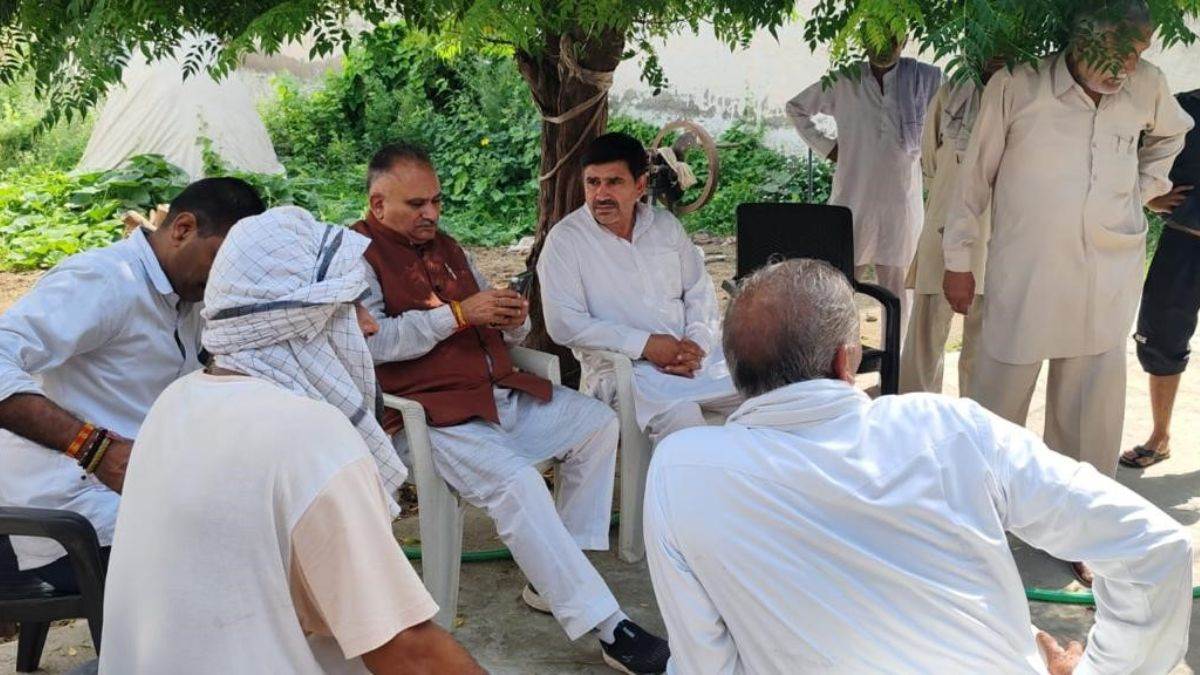 ncr sonipat fire buffalo and calves die in gohana road blaze