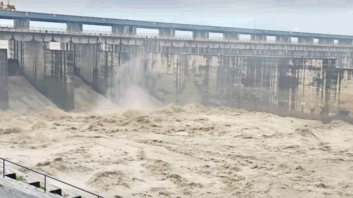 yamuna river flooding highest water flow of season at hathnikund barrage