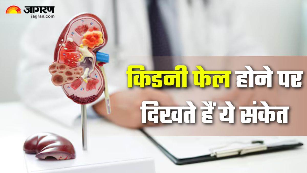 https://www.jagranimages.com/images/newimg/07082025/07_08_2025-kidney_failure_1_24006000.jpg