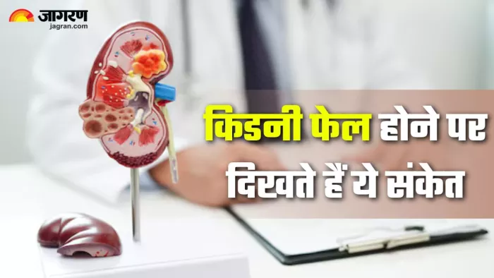किडनी फेलियर के शुरुआती लक्षण पहचानें और बचाव करें