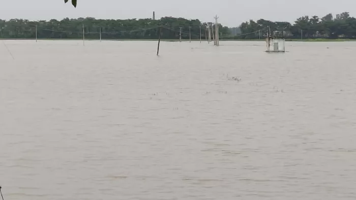 जमसारी खंधा में जीराइन नदी का जलस्तर बढ़ने से एक हजार एकड़ जमीन में लगी फसल डूबी। जागरण फोटो