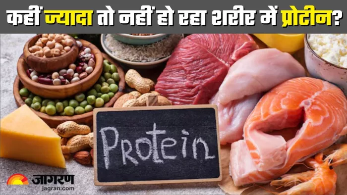 जरूरत से ज्यादा प्रोटीन लेने से हो सकते हैं ये नुकसान (Picture Credit- Freepik)