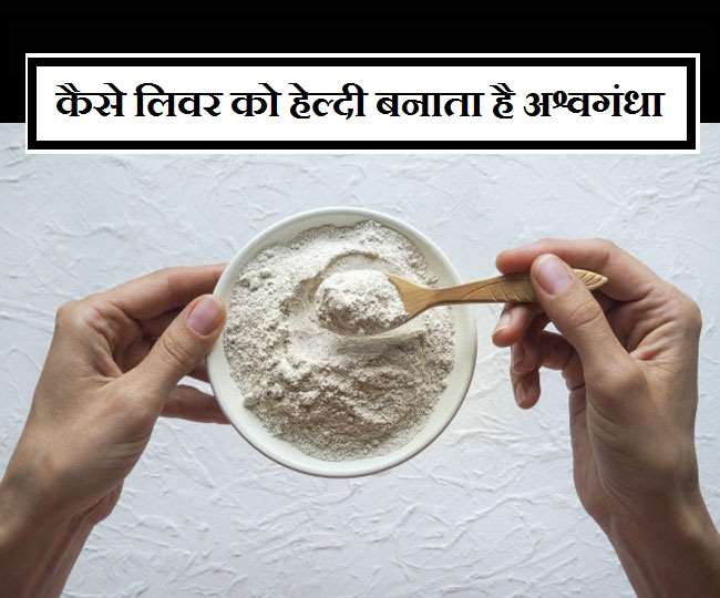 Ashwagandha For Liver लिवर को रखना है हेल्दी, तो करें अश्वगंधा का