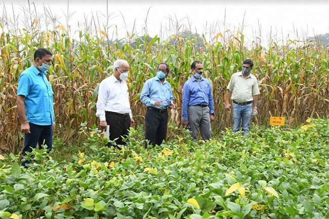 acidic soil health management techniques are necessary for economic prosperity of the farmers