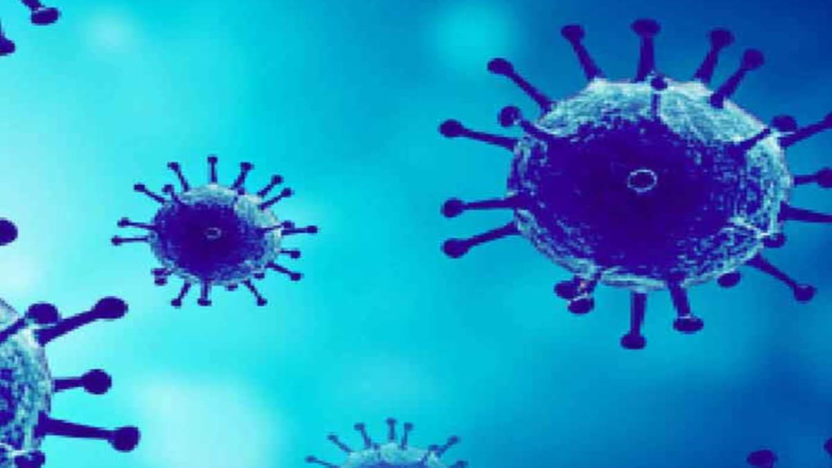 it will be easier to find antigens that activate immune cells jagran special