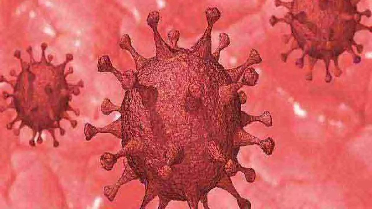 Uttarakhand Coronavirus News: उत्तराखंड में बुधवार को मिले कोरोना के 53 नए मामले, एक संक्रमित की हुई मौत