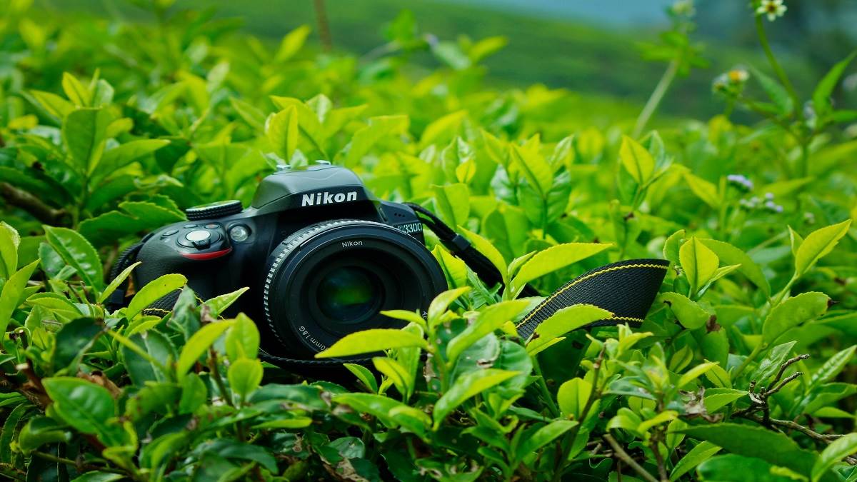 https://www.jagranimages.com/images/newimg/07092023/07_09_2023-best_nikon_cameras_under_1_lakh_23524075.jpg