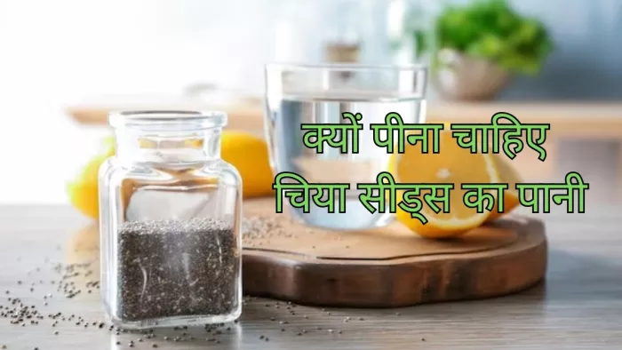 Chia Seeds Water Benefits: क्यों फायदेमंद है चिया सीड्स का पानी