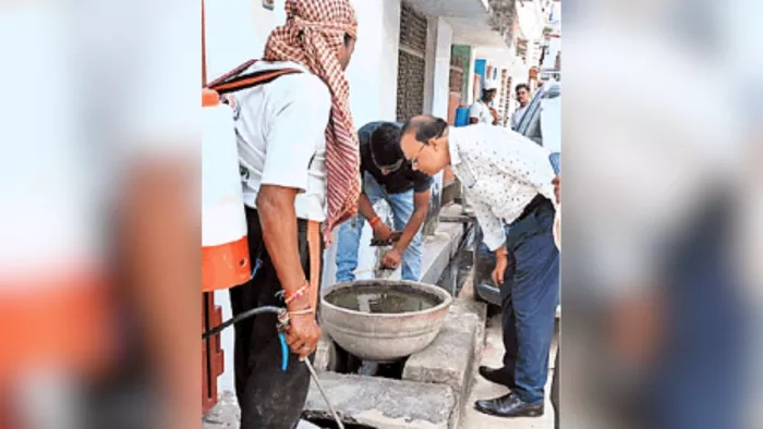 लार्वा देखते नगर स्वास्थ्य अधिकारी डा. मुकेश रस्तोगी। सौ. : नगर निगम