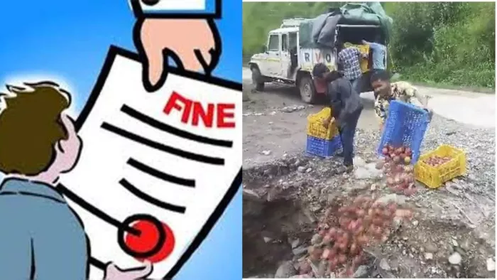 खड्ड में सेब फेंकने वाले बागवान पर एक लाख जुर्माना - फोटो फाइल