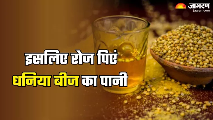 धनिया के बीज के पानी के फायदे (Picture Credit- Freepik)