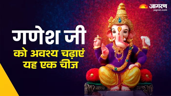 Ganesh Chaturthi 2024: बप्पा को अर्पित करें दूर्वा के साथ शमी पत्र।