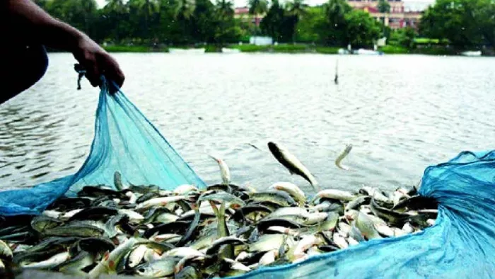 मछली पालन से कमाएं 5 लाख (जागरण फोटो)