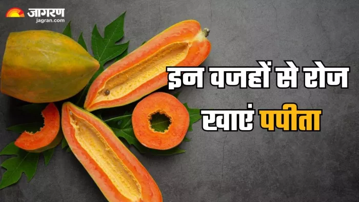 रोजाना खाली पेट पपीता खाने के फायदे (Picture Credit- Freepik)