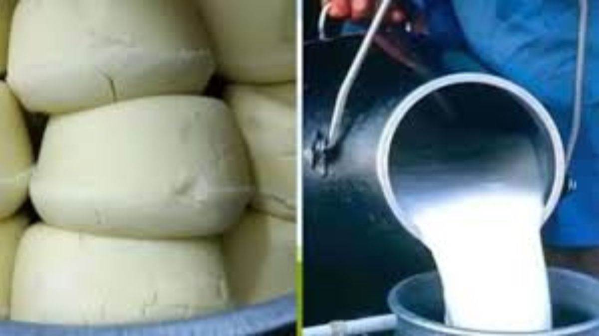 https://www.jagranimages.com/images/newimg/07092025/07_09_2025-adulteration_24038856.jpg